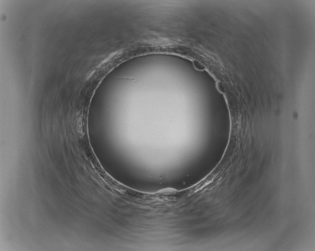 X0000081421205200701261545