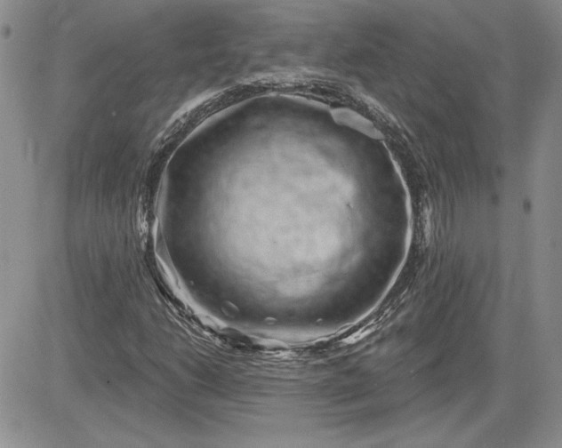 X0000081421206200701261545