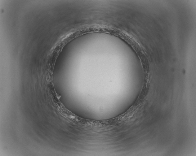 X0000081421207200701261545