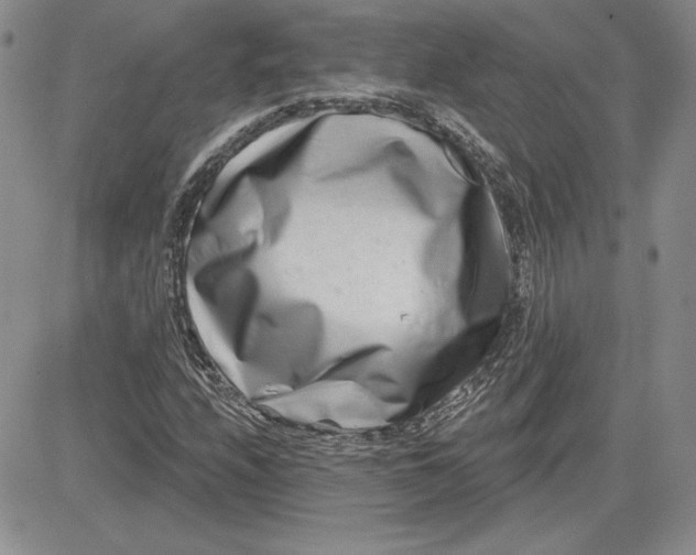 X0000081421208200701261545