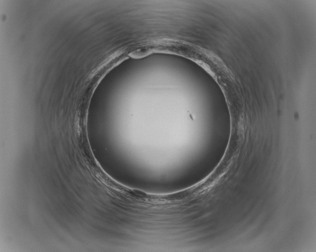 X0000081421209200701261545