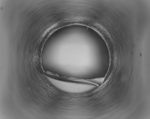 X0000081421210200701261545