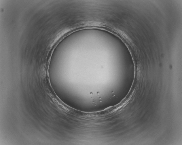 X0000081421212200701261545