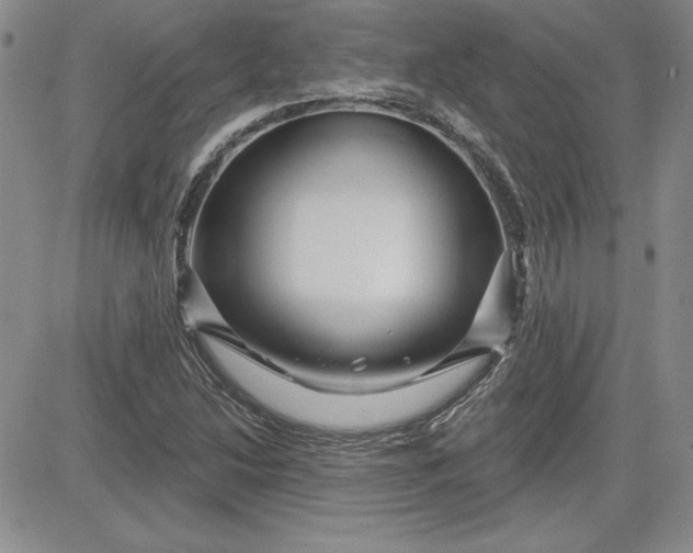 X0000081421214200701261545