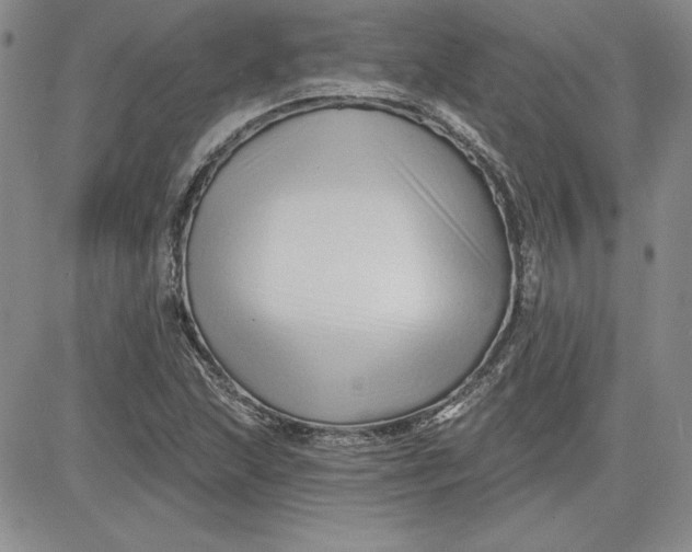 X0000081421215200701261545