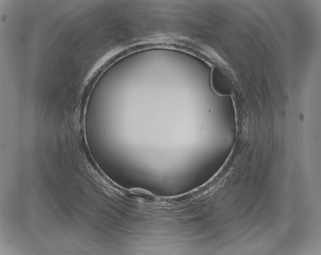 X0000081421216200701261545