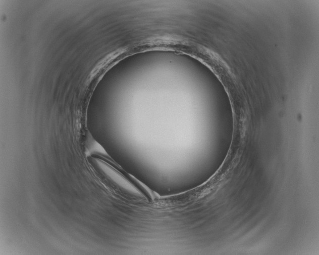 X0000081421217200701261545