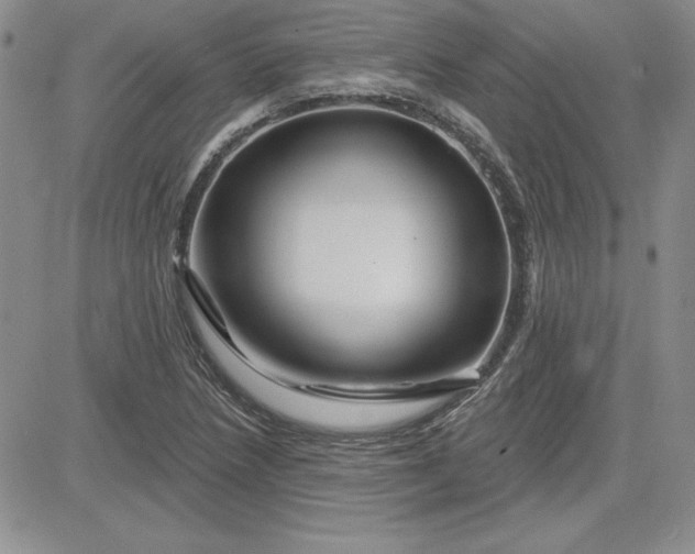 X0000081421218200701261545