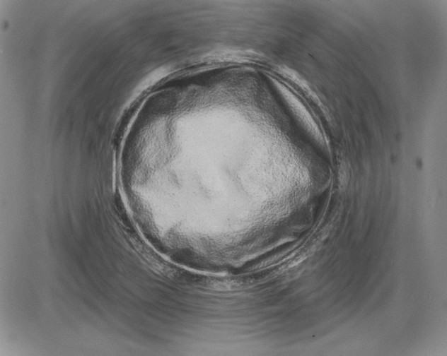 X0000081421219200701261545