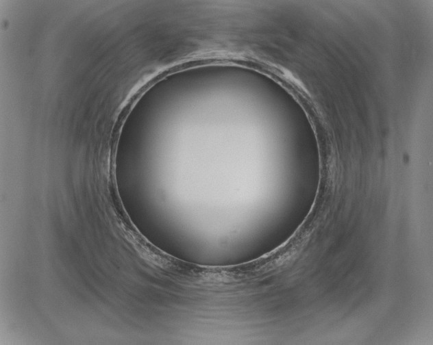 X0000081421220200701261545