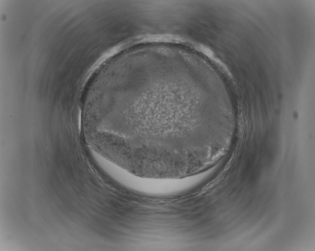 X0000081421221200701261545