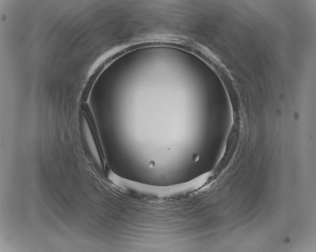 X0000081421222200701261545