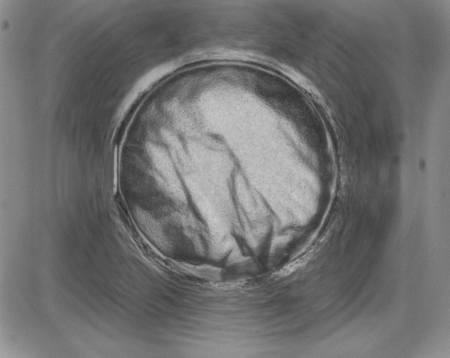 X0000081421223200701261545