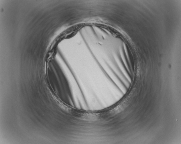 X0000081421224200701261545