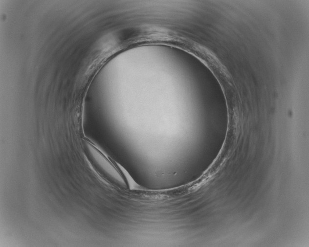 X0000081421225200701261545