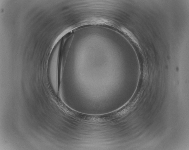 X0000081421226200701261545