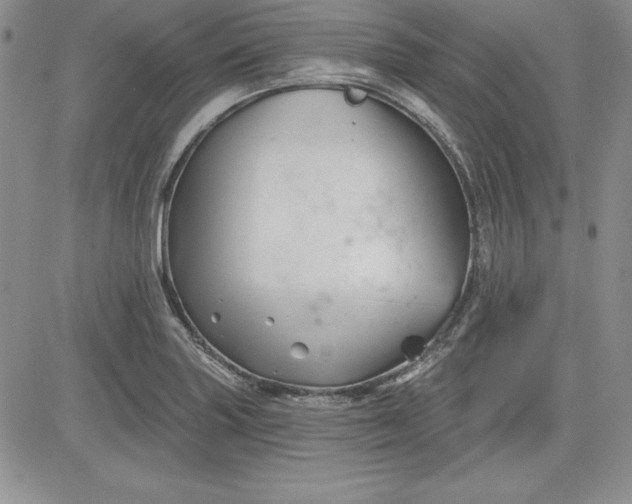 X0000081421227200701261545