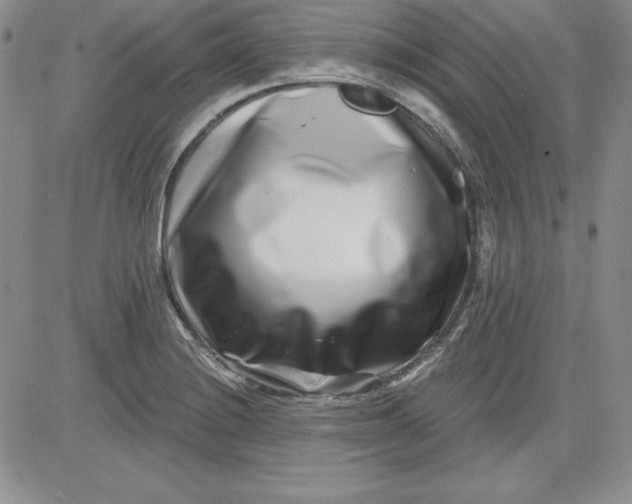 X0000081421228200701261545