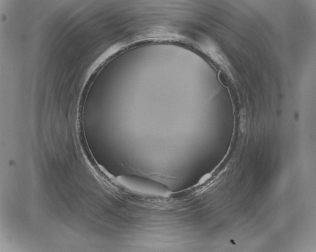 X0000081421229200701261545