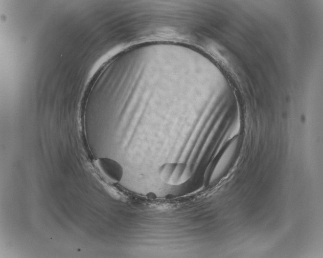 X0000081421230200701261545