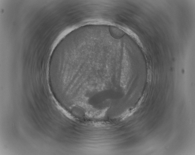 X0000081421231200701261545