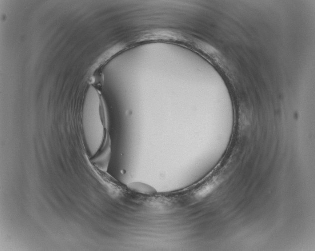 X0000081421233200701261546