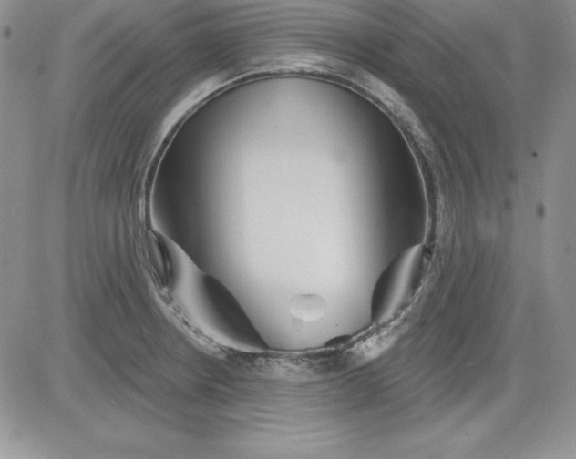 X0000081421234200701261546