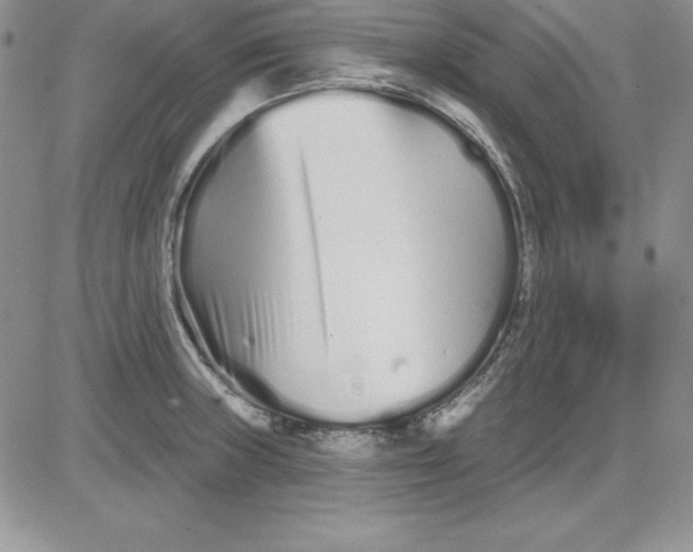 X0000081421235200701261546