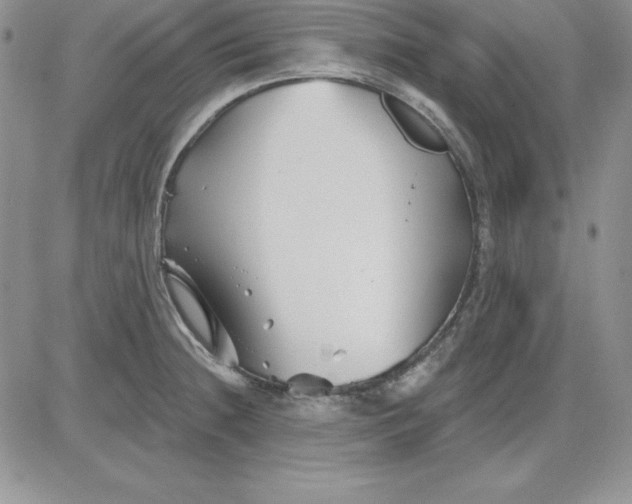 X0000081421236200701261546