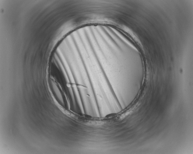 X0000081421237200701261546