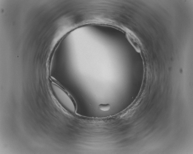 X0000081421238200701261546