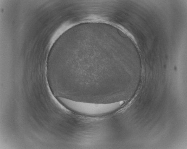 X0000081421239200701261546