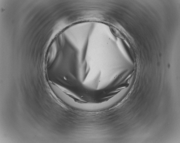 X0000081421240200701261546