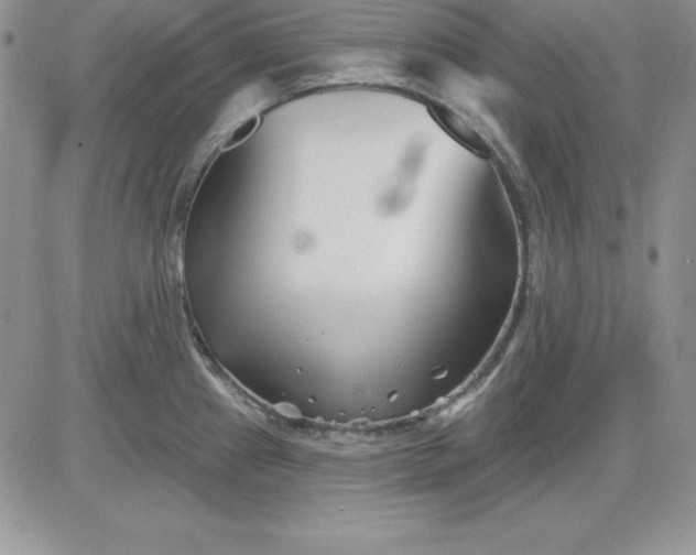 X0000081421241200701261546