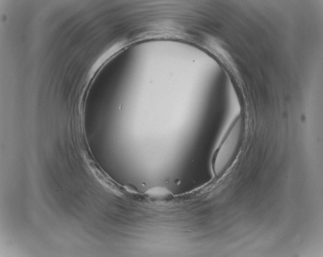 X0000081421242200701261546