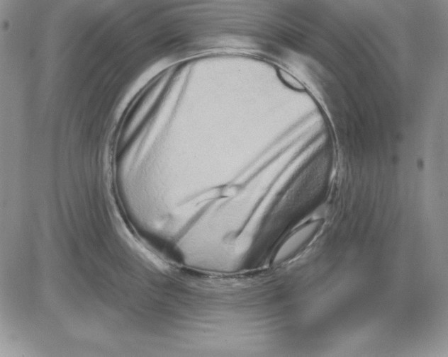 X0000081421243200701261546