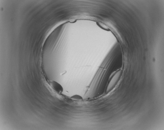 X0000081421244200701261546