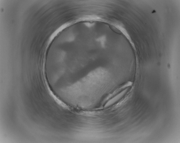 X0000081421245200701261546