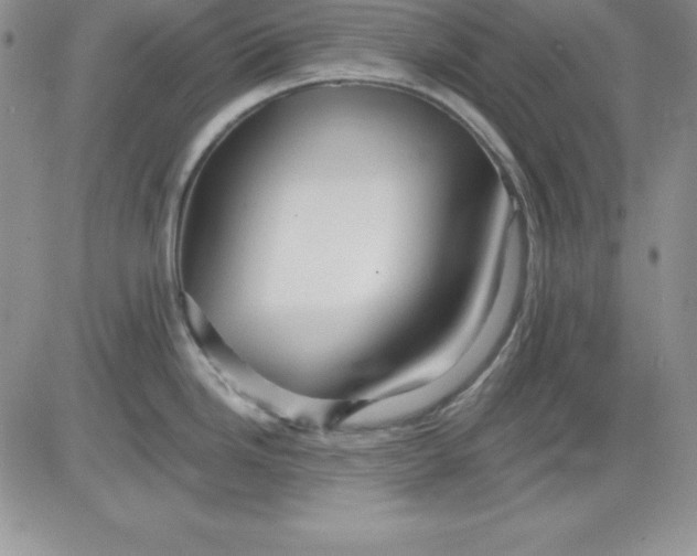 X0000081421246200701261546