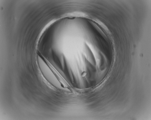 X0000081421248200701261546