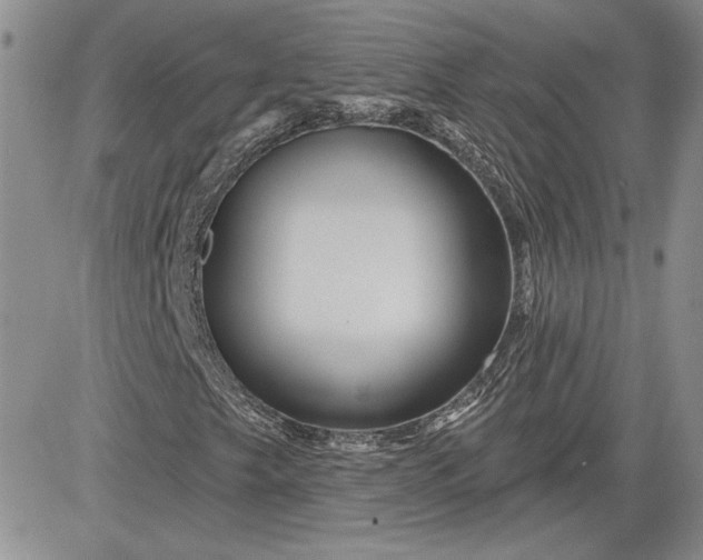 X0000081421249200701261545