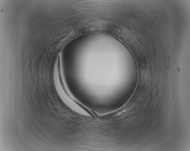 X0000081421250200701261545