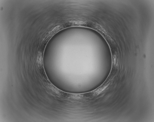 X0000081421251200701261545