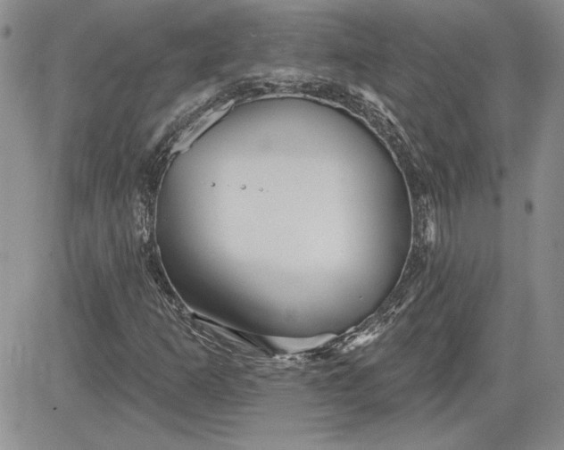 X0000081421253200701261545