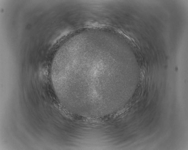 X0000081421254200701261545