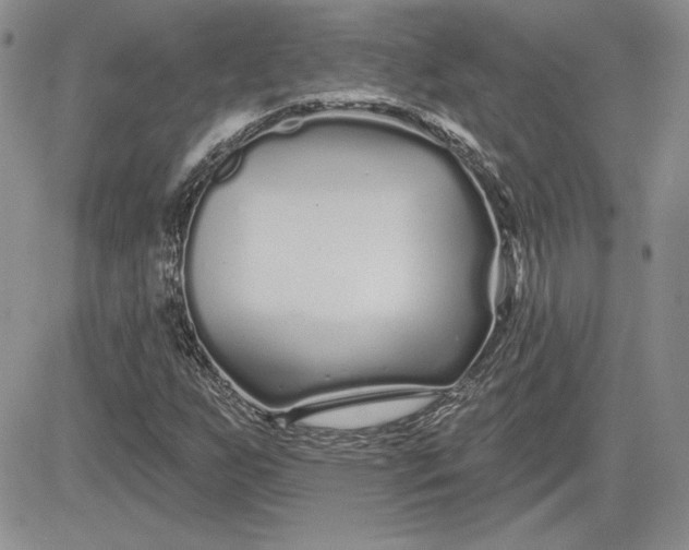 X0000081421255200701261545