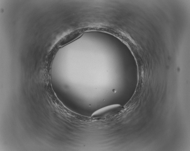 X0000081421256200701261545