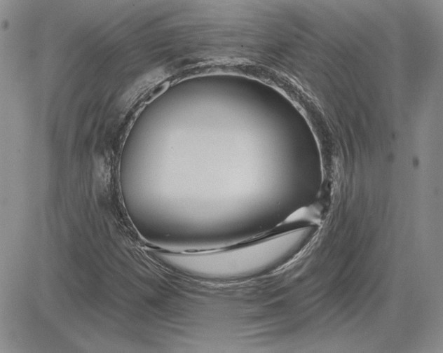 X0000081421257200701261545