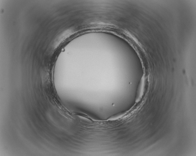 X0000081421259200701261545