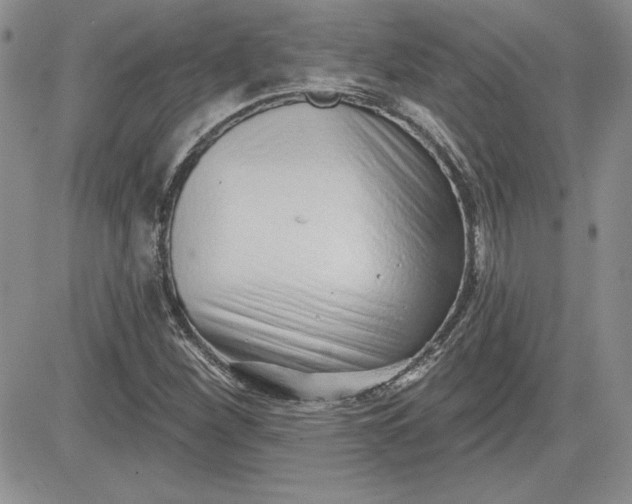 X0000081421260200701261545